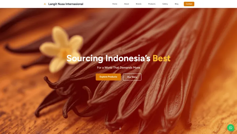 Website Company Profile Langit Nusa Internasional